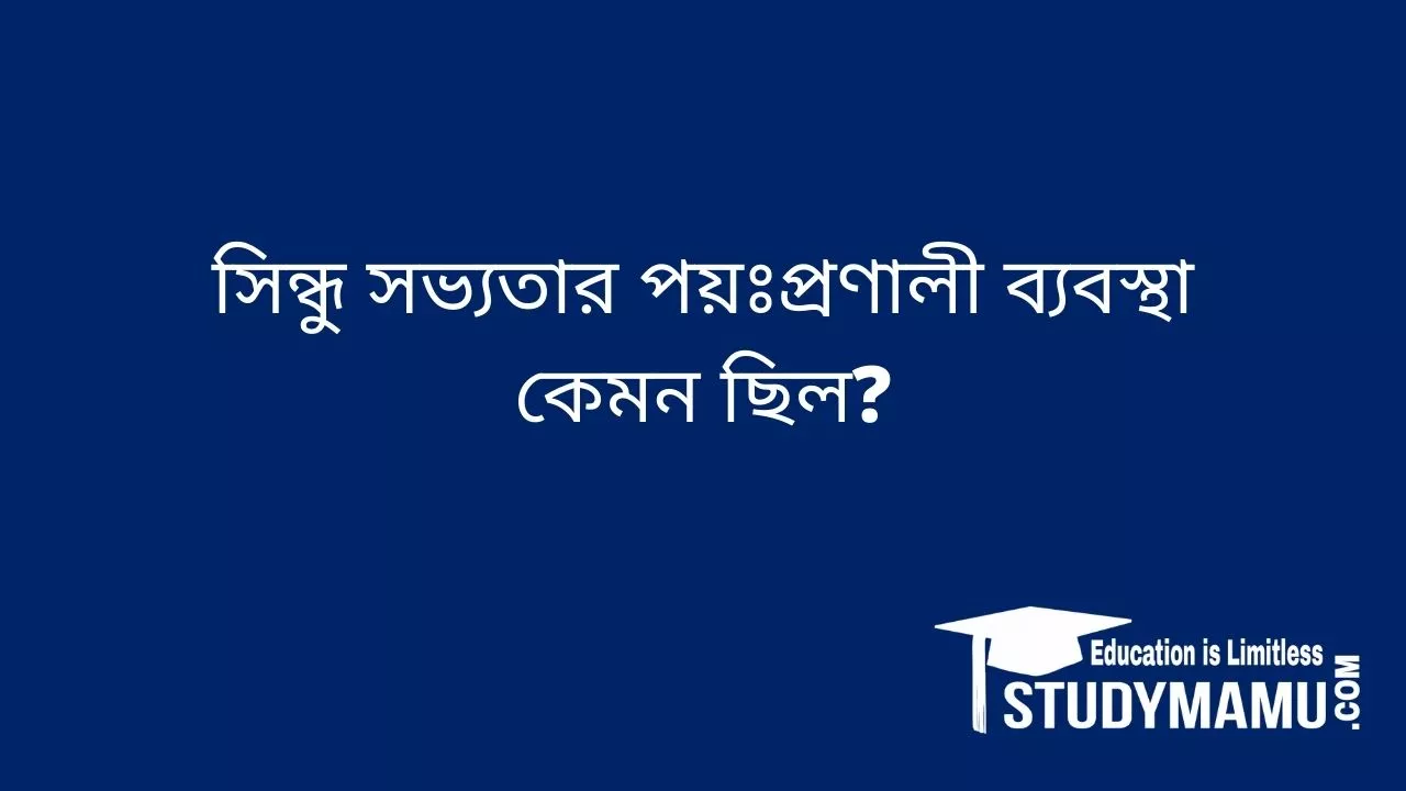 সিন্ধু সভ্যতার পয়ঃপ্রণালী ব্যবস্থা কেমন ছিল?